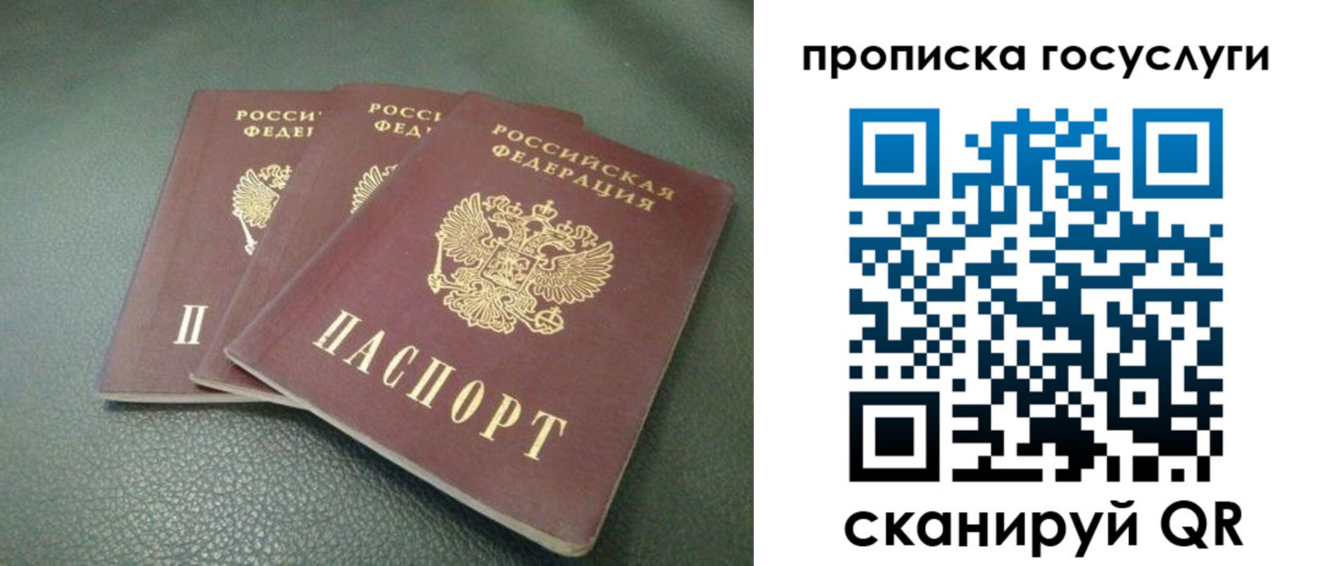 временная регистрация госуслуги в Волгоградской области